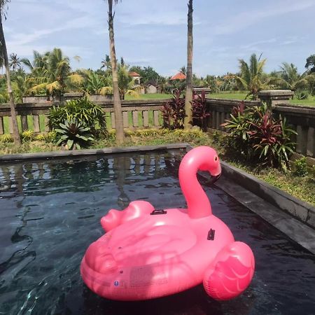 Anggarakasih Ubud Villa Exteriér fotografie