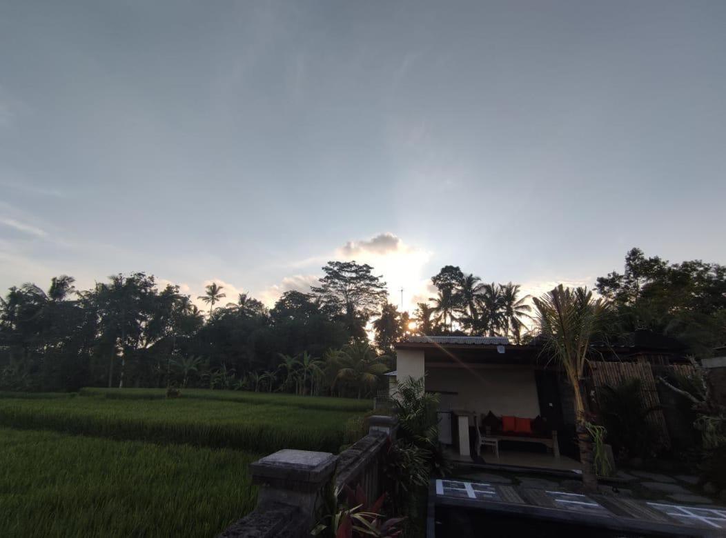 Anggarakasih Ubud Villa Exteriér fotografie