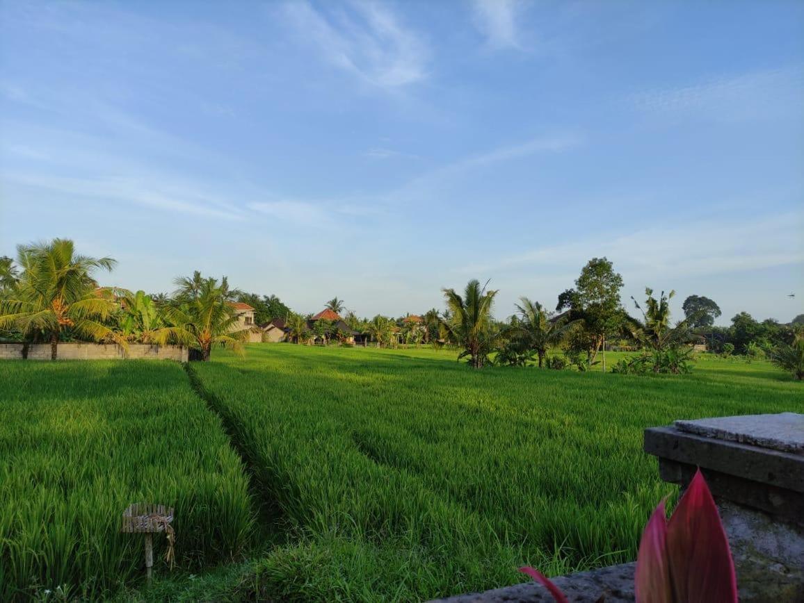 Anggarakasih Ubud Villa Exteriér fotografie